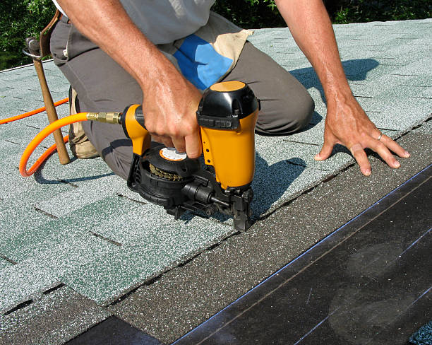 Best Local Roofing Companies  in Waukon, IA