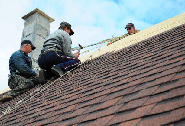 Best Metal Roofing Contractor  in Waukon, IA